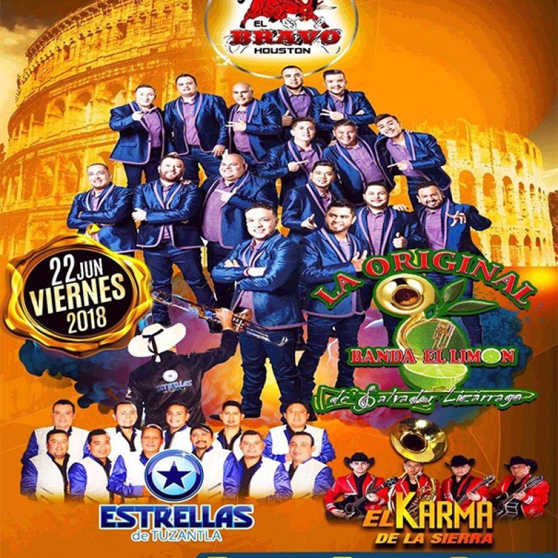 LA ORIGINAL BANDA EL LIMON