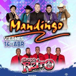 Grupo MANDINGO , GRUPO RETRO -  HOUSTON TEXAS